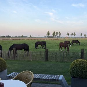 Bed and breakfast Knokke